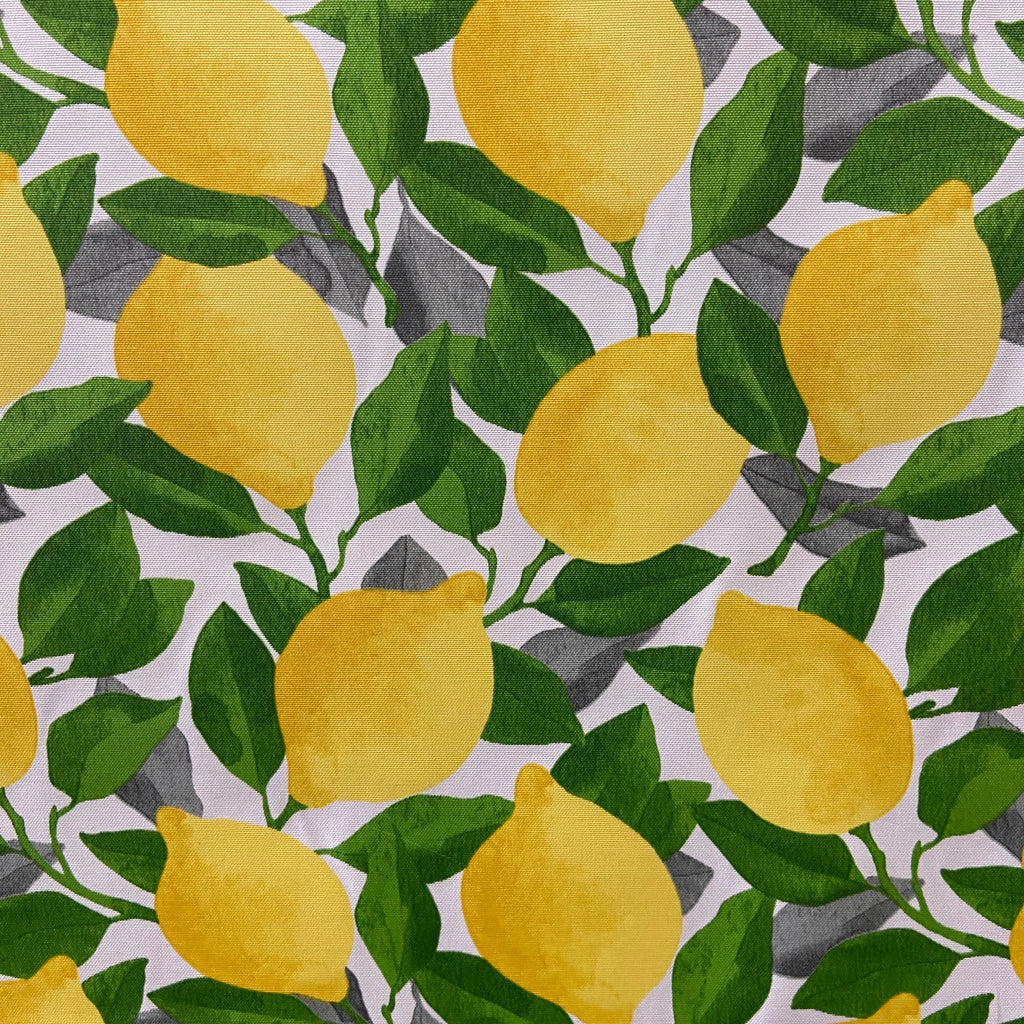 Fabric Showcase Citron