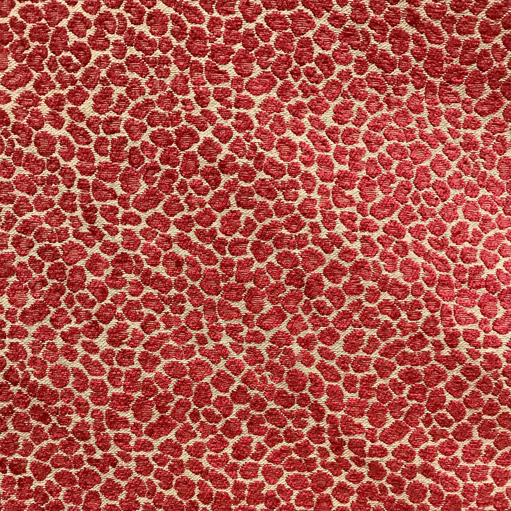 Fabric Showcase Spots Ruby